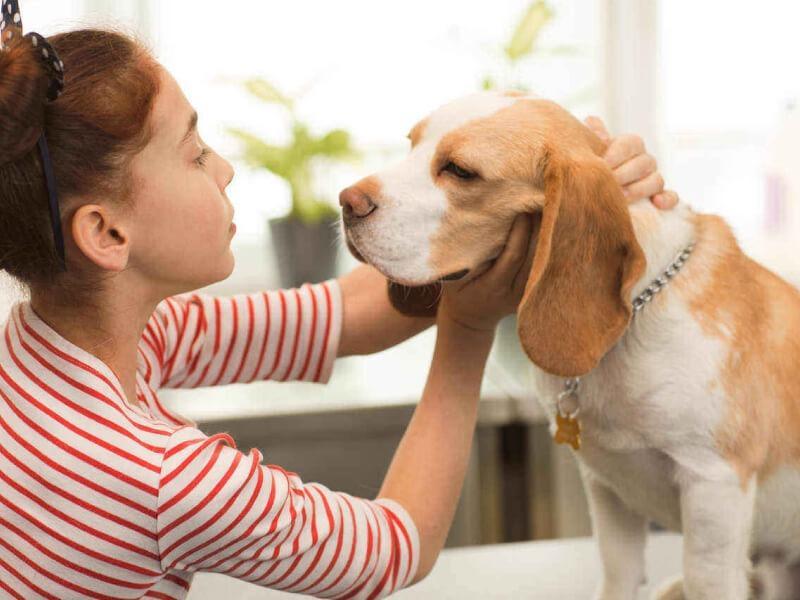 Sonhar com Engasgando um Cachorro
