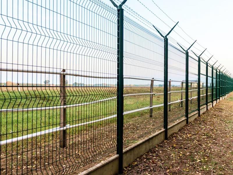 Sonhar com Big Fence