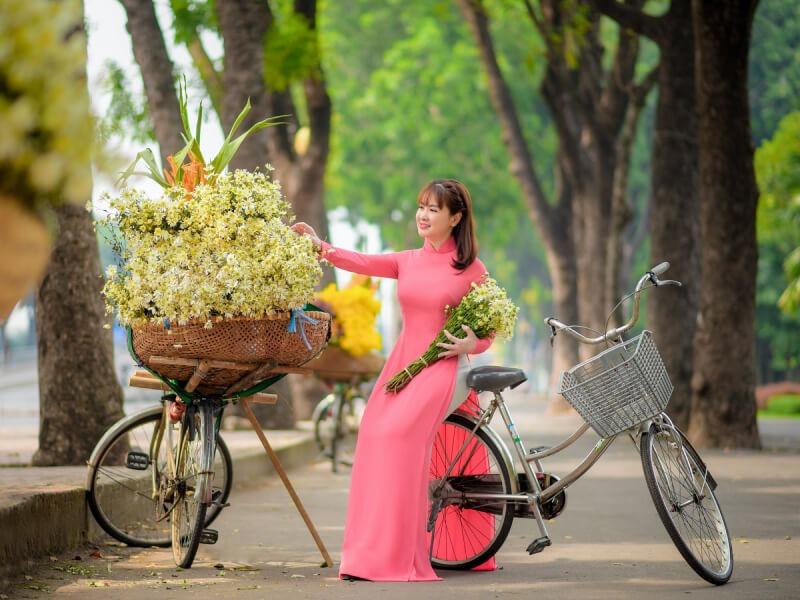 Sonhar com Bicicleta de Madeira