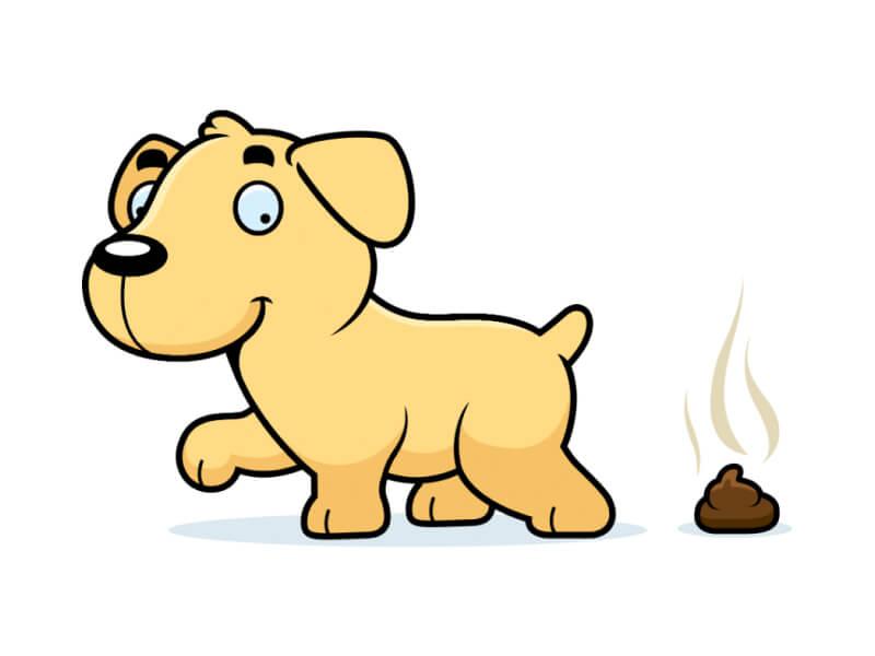 Sonhar com Cocô de Cachorro