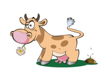 Sonhar com Cocô de Vaca