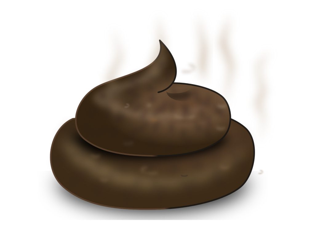 Sonhar com Cocô