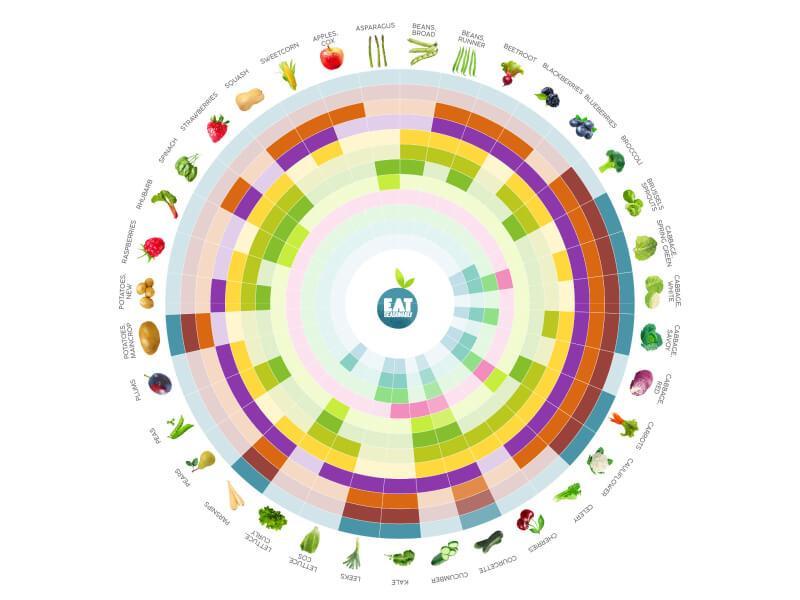 Sonhar com Calendário de Alimentos