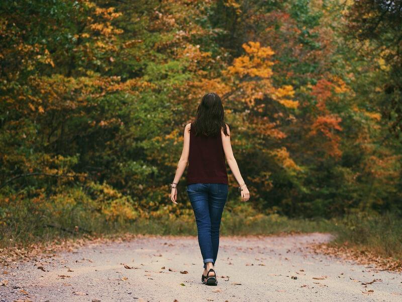 Sonhar com Caminhando em uma Floresta