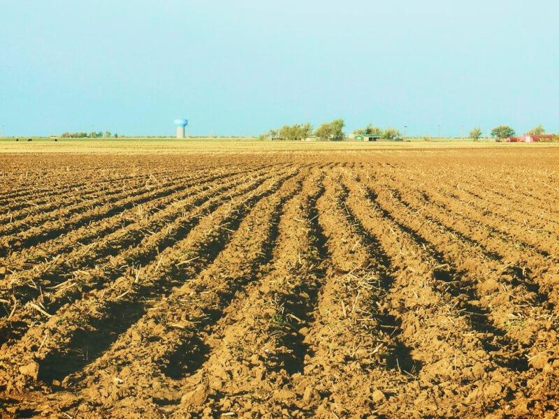 Sonhar com Campo Arado