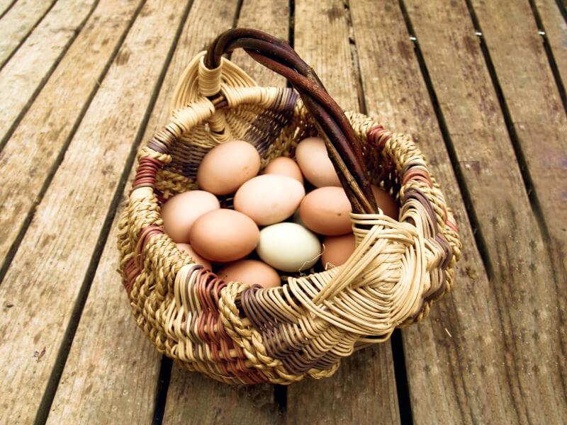 Sonhar com Cesta de Ovos