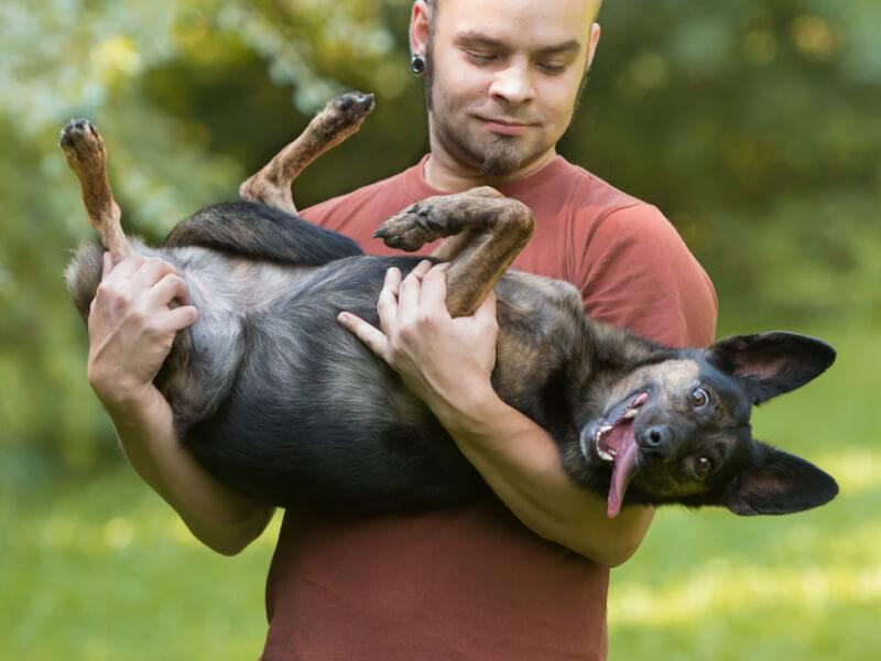 Sonhar com Carregando Cachorro