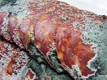Sonhar com Carne Podre