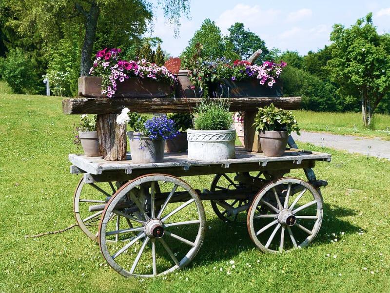 Sonhar com Flutuação de Flores