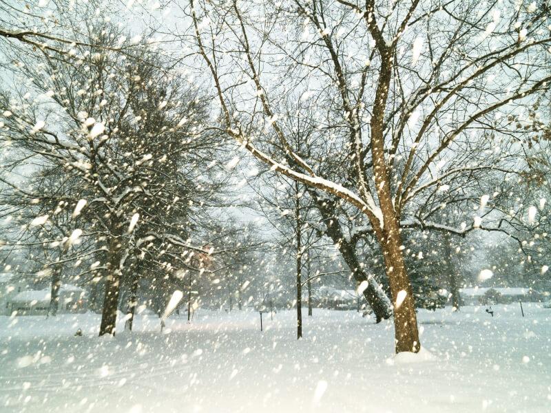 Sonhar com Neve Caindo