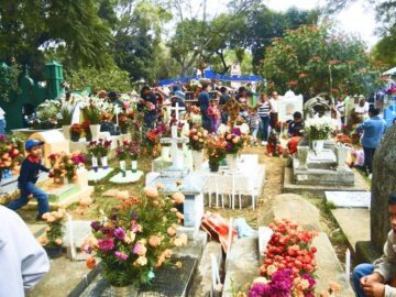 Sonhar com Cemitério Cheio