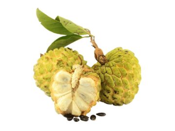Sonhar com Maçã Madura com Creme