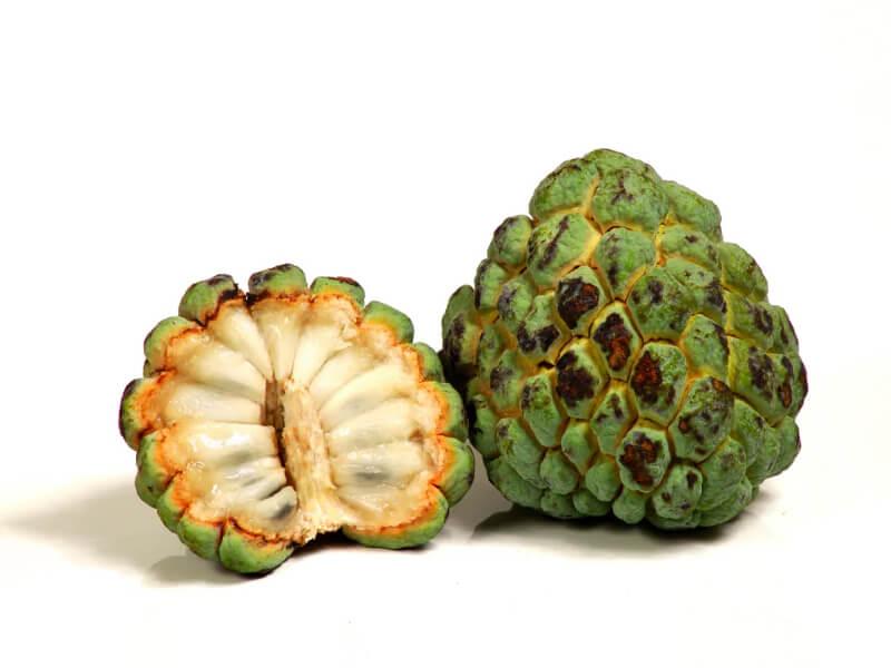 Sonhar com Malograda de maçã com creme