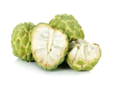 Sonhar com Verde Maçã Creme