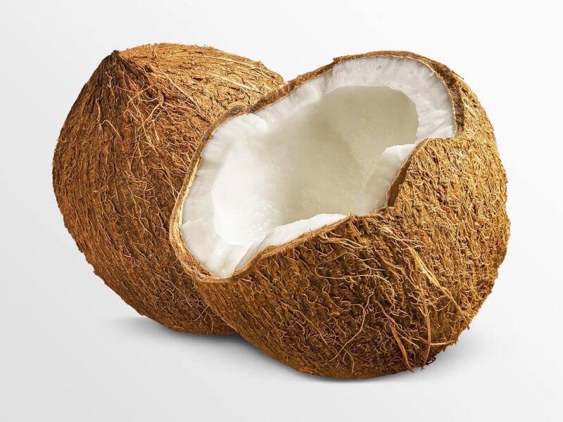 Sonhar com Cocos Cortados