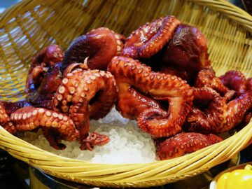 Sonhar com Polvo Comedor