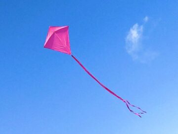 Sonhar com Pipa Rosa