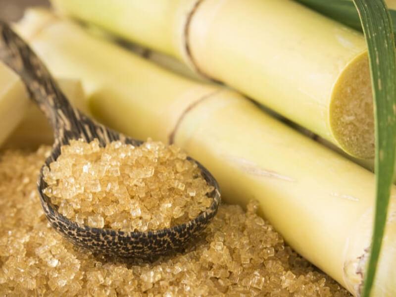 Sonhar com Comprar Bengala