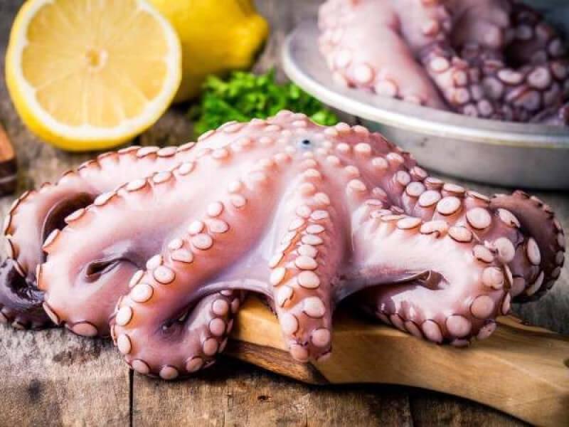 Sonhar com Comprar Polvo