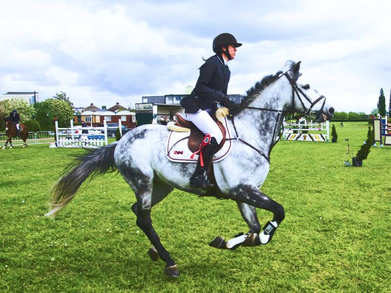 Sonhar com Cavalo de Corrida