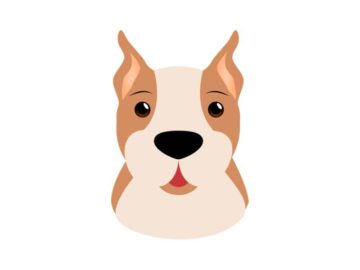 Sonhar com Cão Decapitado
