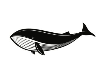 Sonhar com Desenho de Baleia