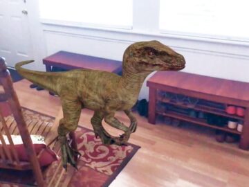 Thumbnail Sonhar com Dinossauros em Casa