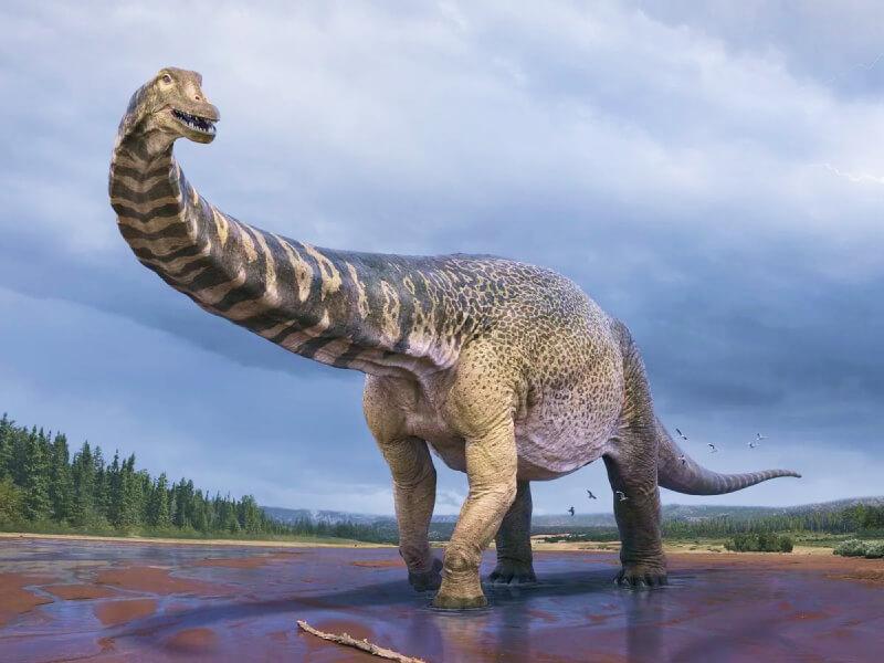 Sonhar com Grandes Dinossauros