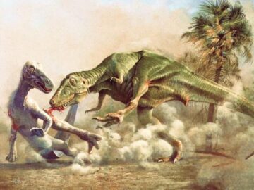 Thumbnail Sonhar com Dinossauros Feridos