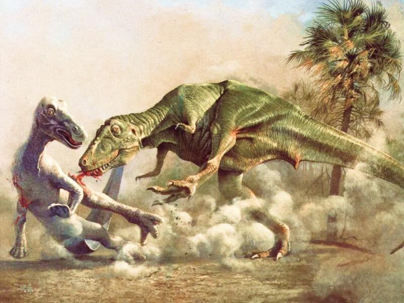 Sonhar com Dinossauros Feridos