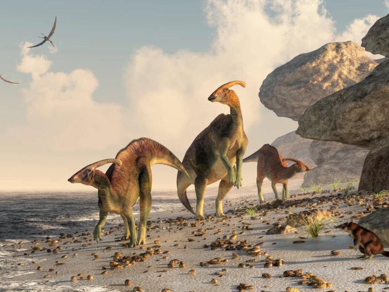 Sonhar com Pequenos Dinossauros