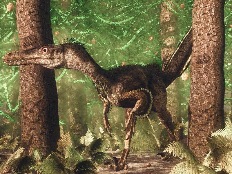 Sonhar com Dinossauros Velociraptor