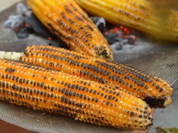Sonhar com Elote Queimado