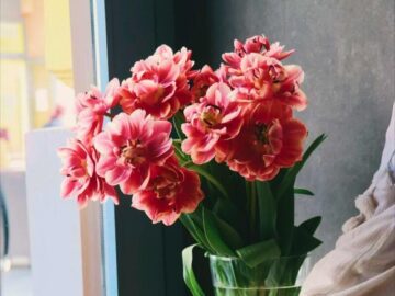 Thumbnail Sonhar com Flores de Interior