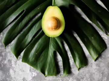 Sonhar com Frutas de Abacate