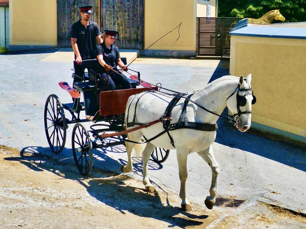 Sonhar com Homem com Carroça