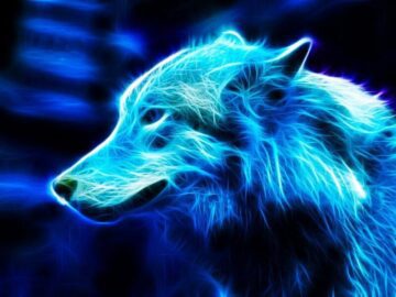 Thumbnail Sonhar com Lobos Azuis