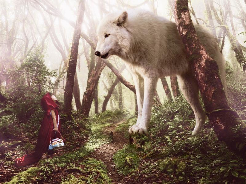 Sonhar com Lobos Gigantes