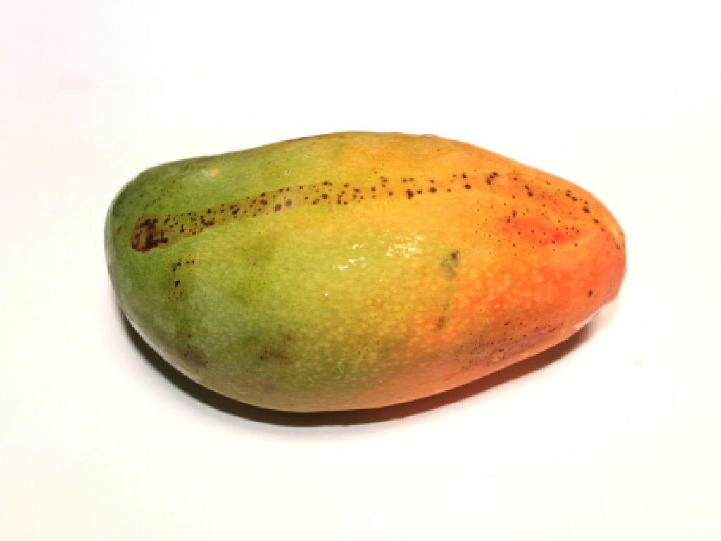 Sonhar com Maçaneta Danificada