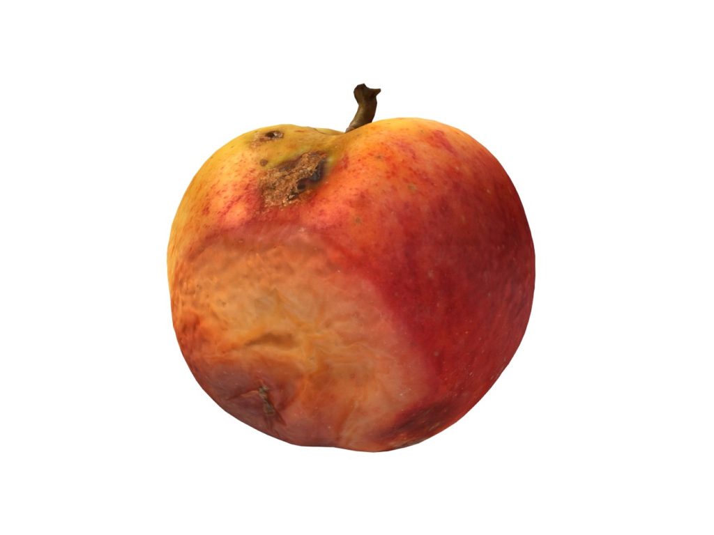 Sonhar com Maçã Podre