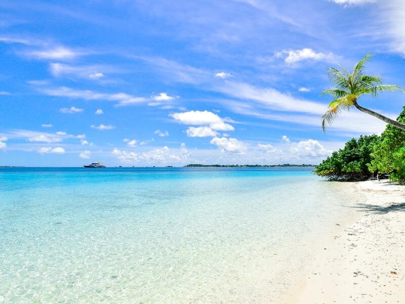 Sonhar com Mar Bonito