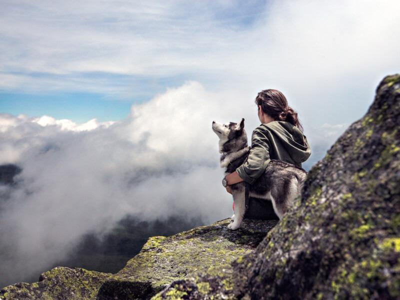 Sonhar com Mirante Para Turistas
