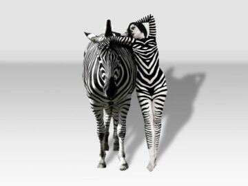 Thumbnail Sonhar com Mulher Zebra