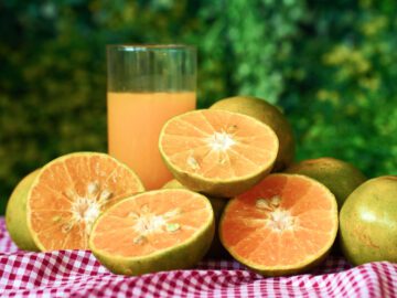 Thumbnail Sonhar com Suco de Laranja