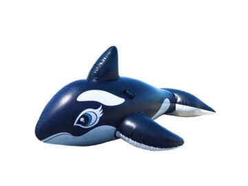 Thumbnail Sonhar com Orcas de Brinquedo