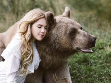 Thumbnail Sonhar com Urso Pardo
