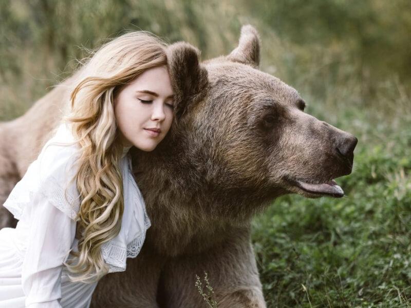 Sonhar com Urso Pardo
