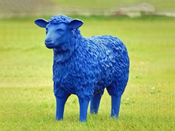 Sonhar com Ovelha Azul