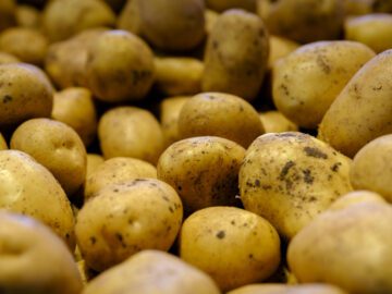 Thumbnail Sonhar com Batatas Amarelas