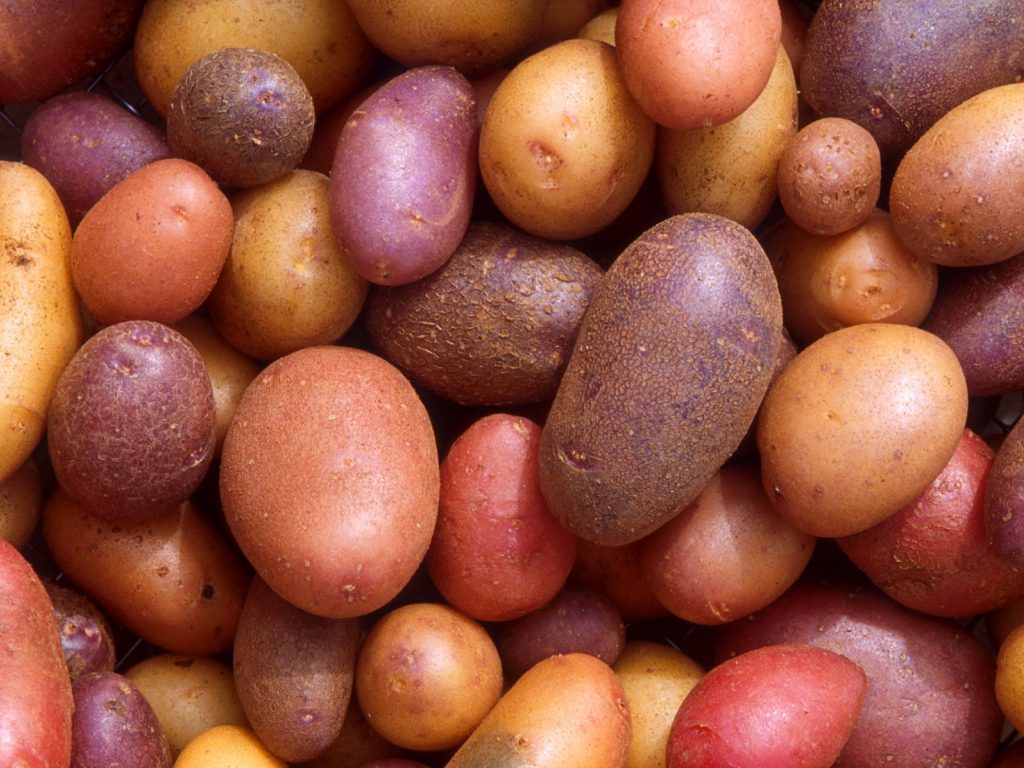 Sonhar com Batatas Crioulas